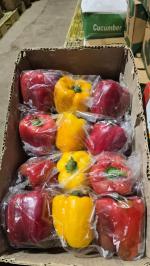 فروش عمده میوه تره بار رستورانی