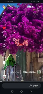 سلام کمک‌ آشپزم وکارکردم غذای ایرانی کار کردم 