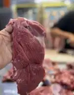 پخش خرده گوشت/ شله/ قلوگاه 