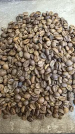 پخش دان قهوه برای کافه شما در قم
