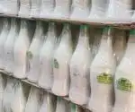 پخش دوغ تک نفره رستوران و کترینگ در قم