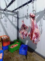 پخش عمده گوشت گوساله رستورانی