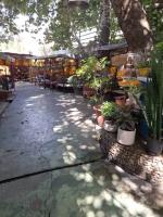صندوقدار رستوران (خانم) در تهران نیازمندیم