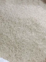 پخش برنج پاکستانی عمده در قم