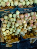 ارسال عمده میوه و تره بار مستقیم از میدان مرکزی