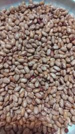 لوبیا چیتی اعلا