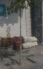 پخش میوه و تره بار برادران