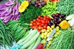 پخش بار تره بار مرکزی