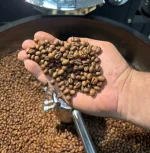 فروش عمده دان قهوه در قم