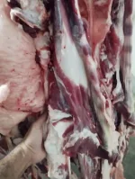 پخش گوشت/قلوه گاه گوسفندی/کشتار روز در تهران