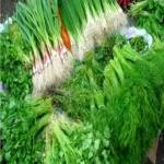 پخش سبزی برای کترینگ و رستوران