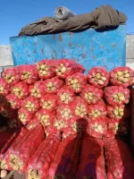 پخش عمده سیب زمینی رنگدار عالی در تهران