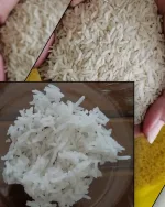 پخش برنج عمده مناسب کترینگ در قم