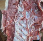 توزیع عمده گوشت تلیسه (عمده)