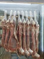 پخش گوشت ویژه کترینگ