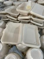 ظروف یکبار مصرف رستورانی