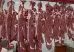پخش گوشت کترینگ و رستوران شما