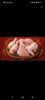 پخش مرغ و ماهی سالم و آلایش قطعه رستوران و کافه