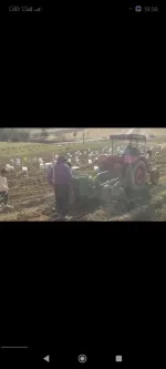پخش سیب زمینی بدون کود شیمیایی ۱۰۰% ضمانتی در تهران