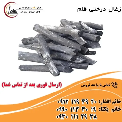 انواع ذغال های کبابی / درختی / سکه ای 