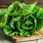 پخش کاهو رستورانی بسیار با کیفیت و شیک