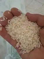 پخش عمده وتک انواع برنج رستورانی در قم