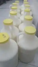 پخش ماست و دوغ سنتی پرچرب در قم