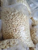 سیر با پوست و پوست کنده همدان