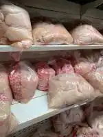 پخش مرغ و الایشات تازه به قیمت همکاری