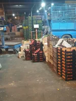 عمده فروشی میوه تره بار رستورانی در تهران