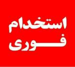 کارگر رستوران در ولنجک با جای خواب
