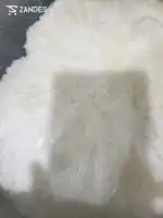 پوره پیاز  ویژه کترینگ شما در قم