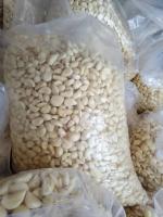 سیر با پوست و پوست کنده خشک همدان کترینگ