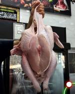 پخش بوقلمون ، قطعه‌بندی و آلایش جهت کترینگ