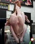 پخش بوقلمون ، قطعه‌بندی و آلایش جهت کترینگ