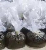 سبزی خورشتی سرخ شده 