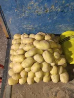 انواع محصولات تره‌بار ویژه رستوران‌ها و مراکز تهیه غذا 