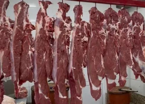 پخش گوشت کارن
