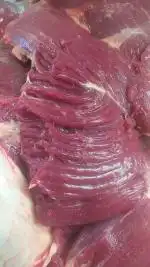 پخش خورده گوشت 