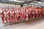 پخش عمده انواع گوشت رستوران