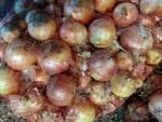 سیب زمینی پیاز رستوران و کترینگ عمده