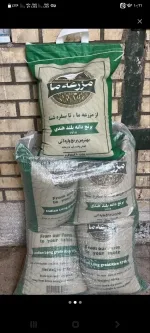 پخش برنج هندی از مزرعه 
