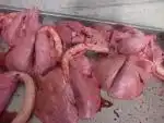 پخش گوشت گوسفندی گوساله ویژه رستوران