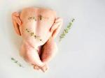 پخش عمده مرغ تازه و قطعه بندی رستورانی