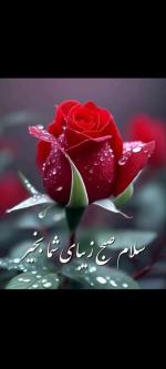 آشپز 