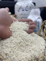 پخش برنج هاشمی گیلان مخصوص رستوران در تهران