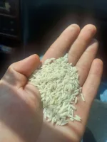 پخش برنج محلی مناسب رستوران