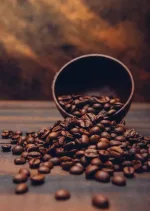 دان قهوه عربیکا روبوستا عمده-اقساطی و چکی در قم