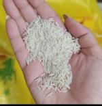 برنج هاشمی درجه یک 