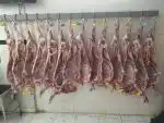 پخش انواع گوشت رستورانی ارسال از شهرستان به تهران 
